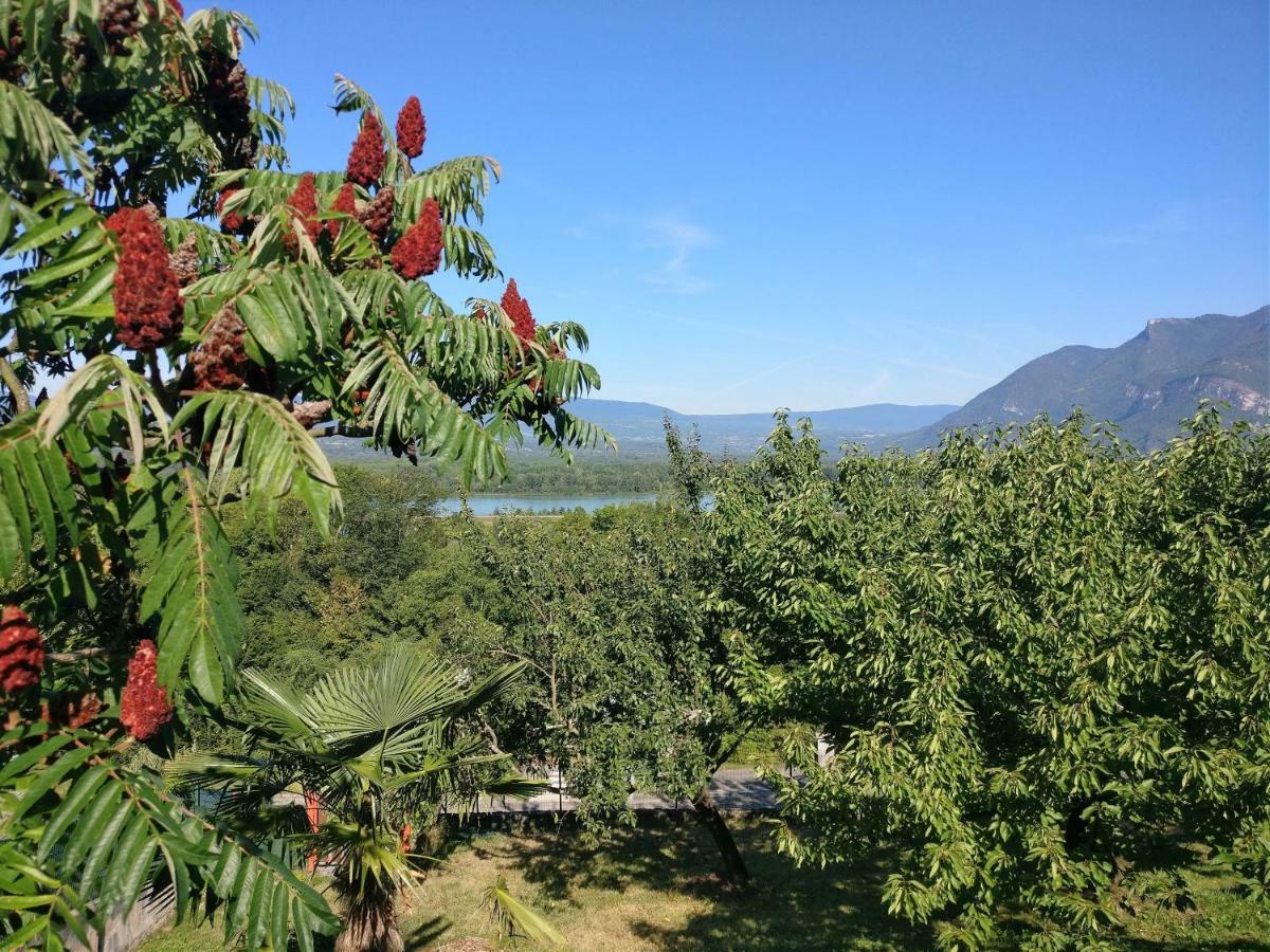 Le Belvue Bed & Breakfast Шана Екстериор снимка
